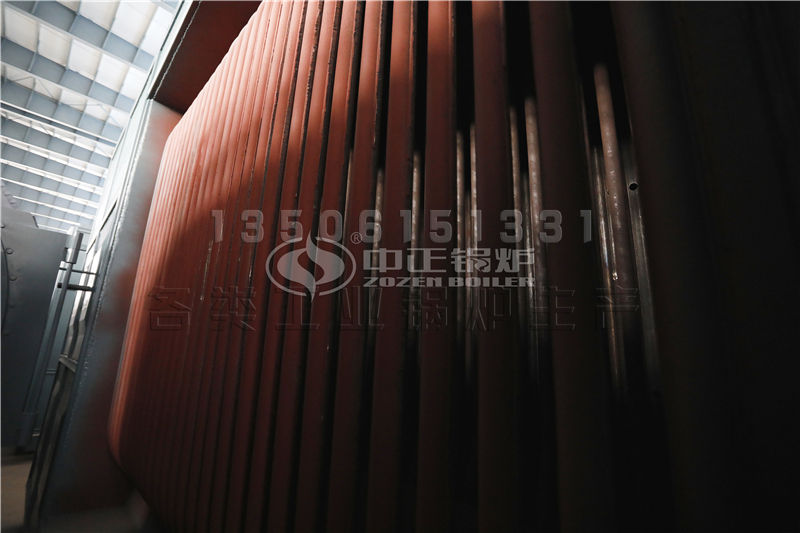 吐鲁番低氮节能蒸汽锅炉原理图 哪家公司可以生产？