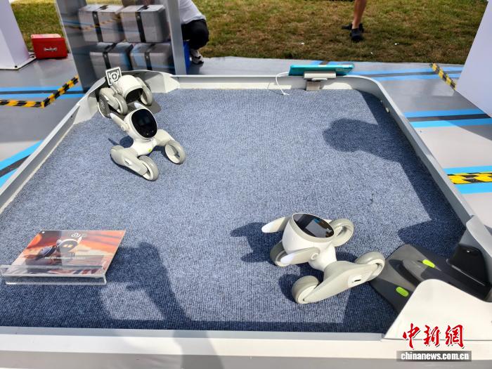 2025中网北京赛场：体育竞技、科技创新与城市文